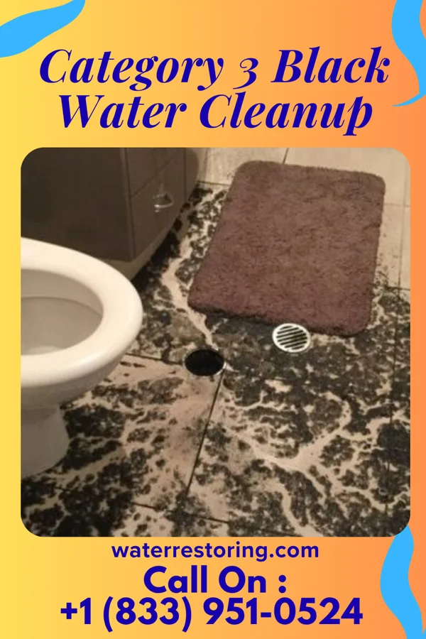 Category 3 Black Water Cleanup in Harriman, TN