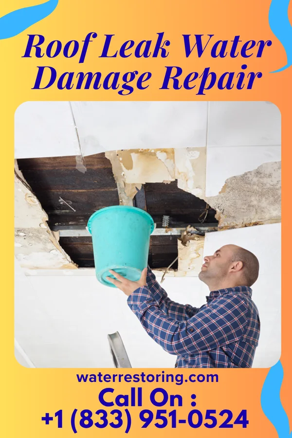 Roof Leak Water Damage Repair in Harriman, TN